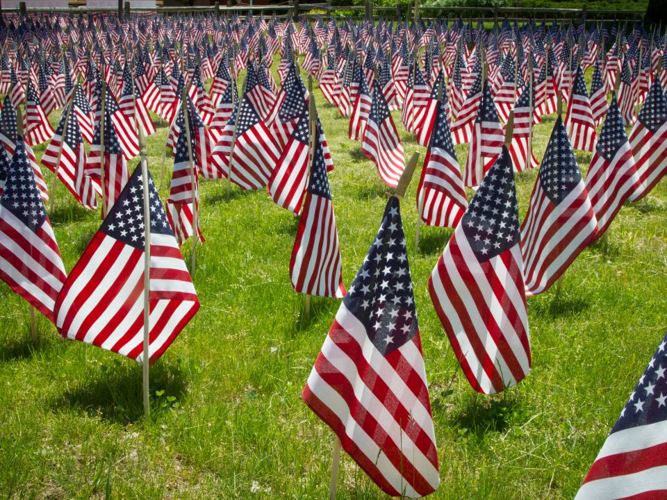 A field filled with flags