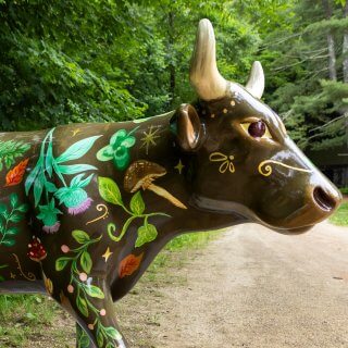 Noche de OtoñoBy Maria Boutin