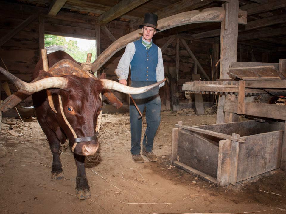 Cider Mill in Action