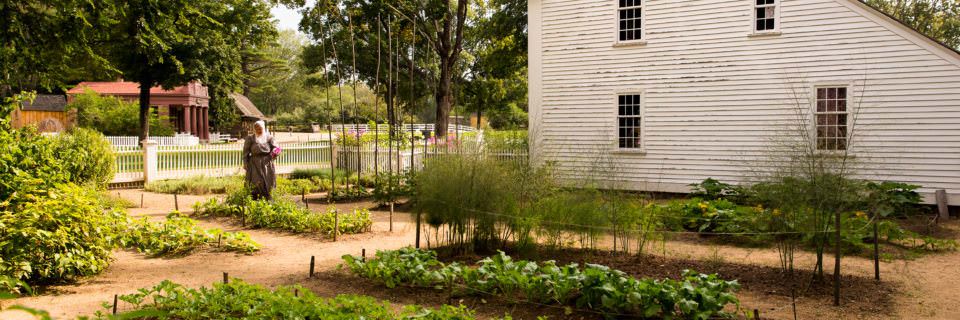 The Parsonage Garden