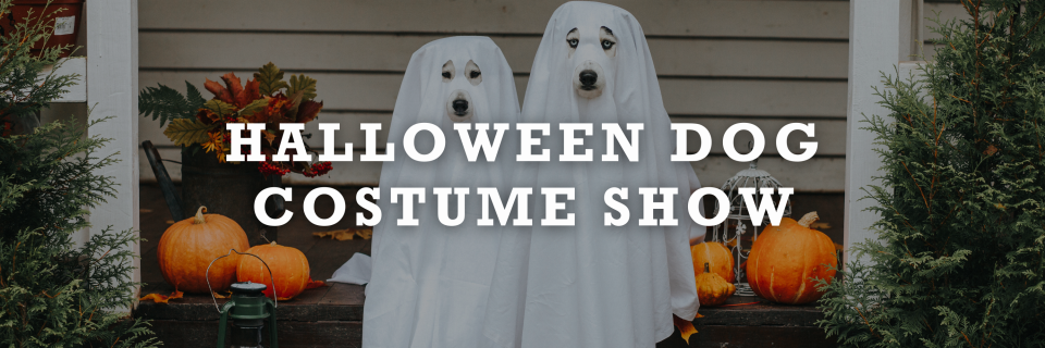 Halloween Dog Costume Show